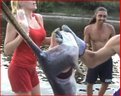 Juggers #9 (25 LBS Spoonbill)