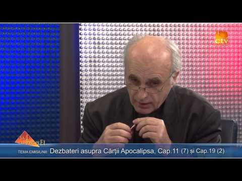 366. Zaharia Bica - Dezbateri asupra Cartii Apocalipsa Cap. 11(8) si Cap. 20(1) 366. Zaharia Bica - Dezbateri asupra Cartii Apocalipsa Cap. 11(8) si Cap. 20(1)