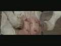videos de gong fu  milch cow