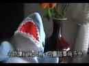[shark] ?? ??