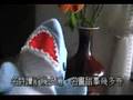 [shark] 後絃 西廂