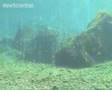 Acidifying oceans of the future
