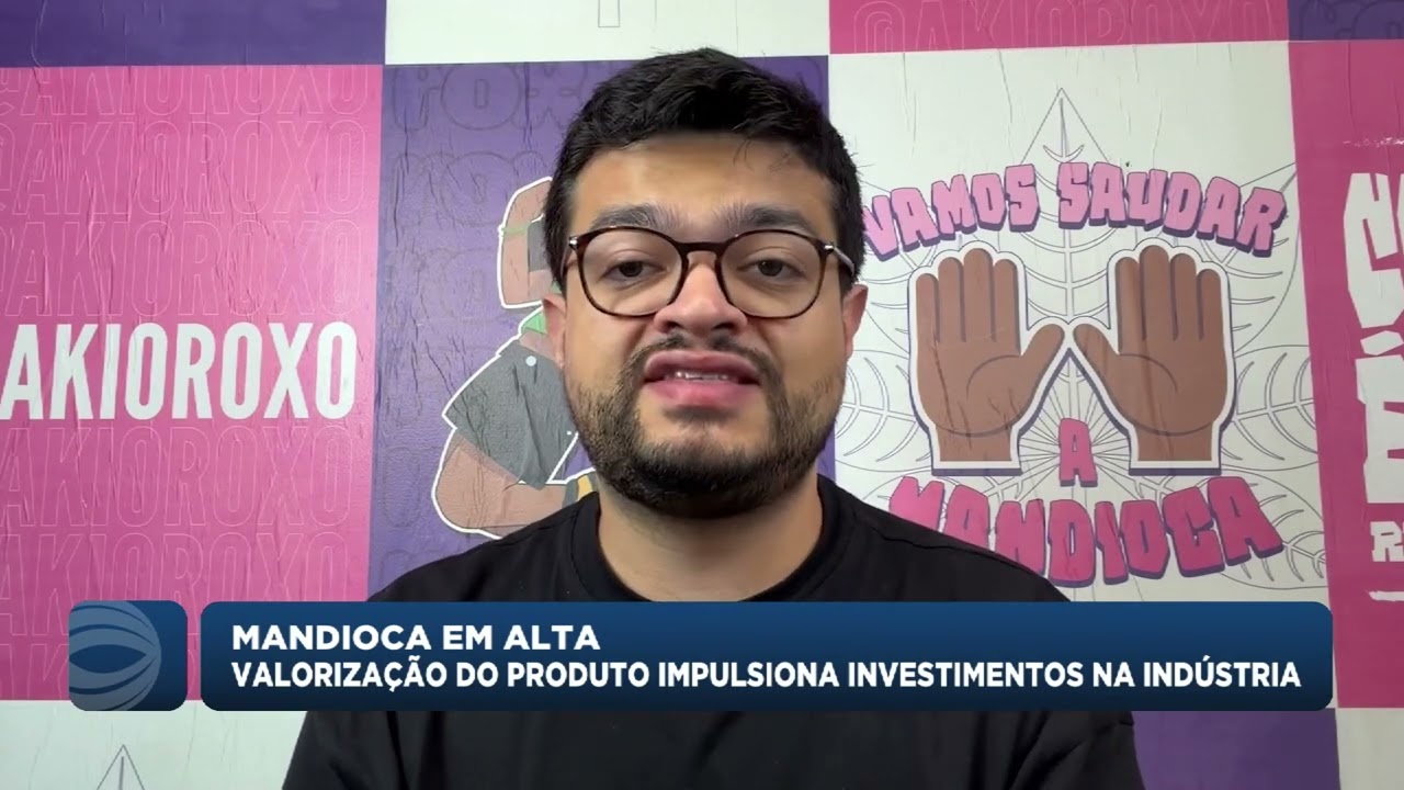Valorização da mandioca impulsiona investimentos na indústria