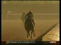 A Thoroughbred Racehorse: God's Most Impressive Engine