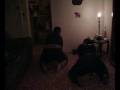 videos de M STAR N ENVY