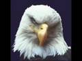 DJ Eagle -Speedcore