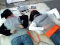 Stranded seals / self massage