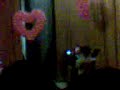 LIVE-Gabi-de-la-Orad