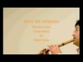 Aires Del Altiplano