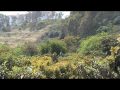 Aurelio Autónomo (Trailer)