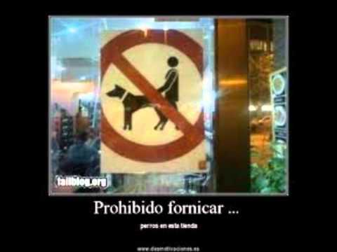 fornicar