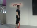 Toyota Winglet