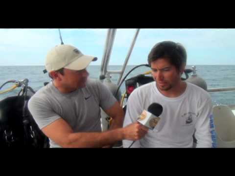 Buceo en la Isla San Pedro Nolasco Agosto 2012 - video Principal