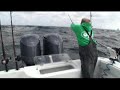 The Biloxi Pickle Video.flv The Biloxi Pickle Video.flv