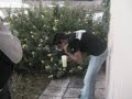 tonexxx vomitado