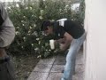 tonexxx vomitado