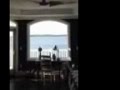 Videos Archives   <b>ArtieLange</b>.net: The UnOfficial <b>Artie Lange</b> Fan PageGoogle Alerts   of Artie Lange  