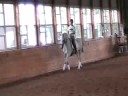 Tuppence Dressage