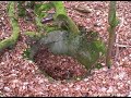Einmannbunker im Bienwald