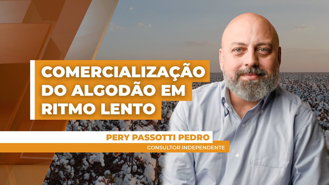 MERCADO DO ALGODÃO - EDIÇÃO 11-09-2025