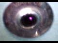 Click here to watch this video Recreation ground road public toilets Tenterden.mp4