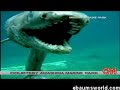 Prehistoric-shark-fo