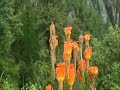 Bhutan - the last true Illusion of Shangri-La Bhutan - the last true Illusion of Shangri-La