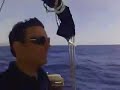 ceñida en palamós  costa brava 