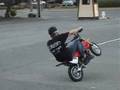 50-stunt