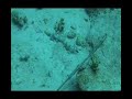 Red Sea Mystery Wreck