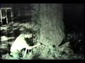 IWCFANCAM Presents Uncle Jay's Tree Service