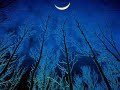 We love forest and black metal