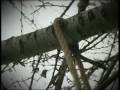 ΟΡΦΕΑΣ ΠΕΡΙΔΗΣ - ΠΟΛΥ ΣΕ ΑΓΑΠΗΣΑ