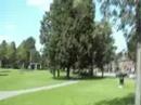 Park tuindorp Park tuindorp