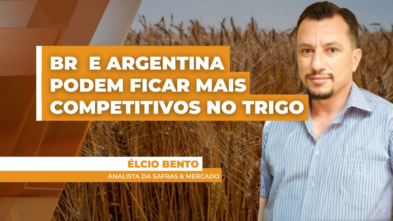 Tarifaço de Trump pode afastar compradores asiáticos do mercado norte-americano e trigo da ...