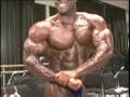 Tampa-Bay-Pro-Bodybu