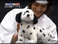 Akanishi Jin_Haunting Skit
