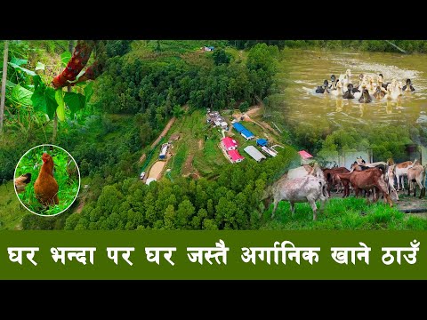 Rolling Batase Hills