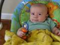 Archer Plays with a Rattle for the First Time!