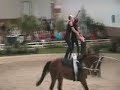 Championnat de France 2008