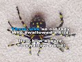 There Was An Old Lady There Was An Old Lady