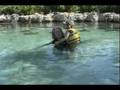 videos de sting rays discovery cove.wmv
