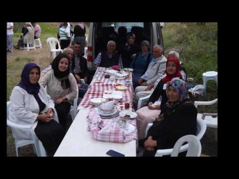 B�R YIL B�YLE GE�T�      2016