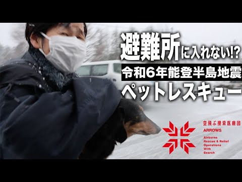 【令和6年能登半島地震】被災したワンコを助けに行ったら別れ際が悲しかった…