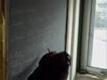 Cella Fotovoltaica