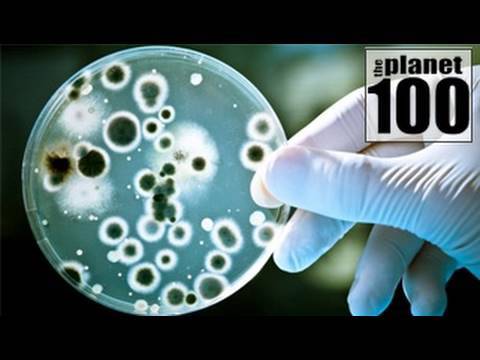 how to clean up a oil spill