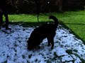 Azuro in the Snow