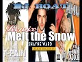 Melt the snow remix DJ BOAT