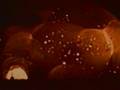 Linkin-Park-Atomic-B