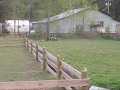 Bangin in the Back Yard Bangin in the Back Yard